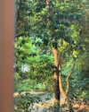 ll.lu1s Altpins Profile Picture