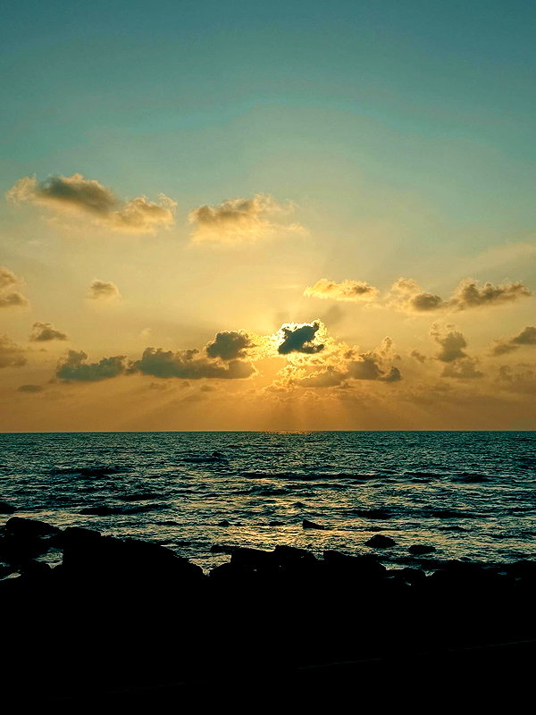 ronyida_ instagram image archive image
