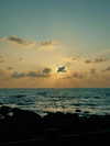 ronyida_ Altpins Profile Picture