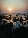 nixqq.425_ Altpins Profile Picture
