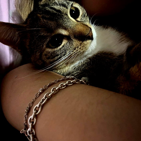 cellow111 instagram image archive image