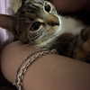 cellow111 Altpins Profile Picture