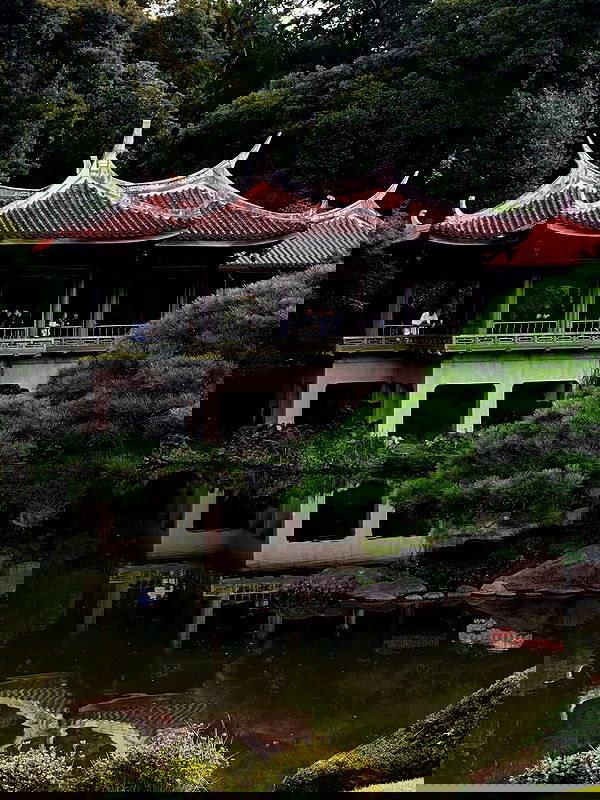 taylor.creeden taylor.creeden archive image