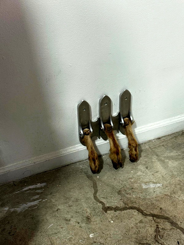 Archived image from @fyejax on Instagram