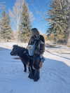 katehudson Altpins Profile Picture