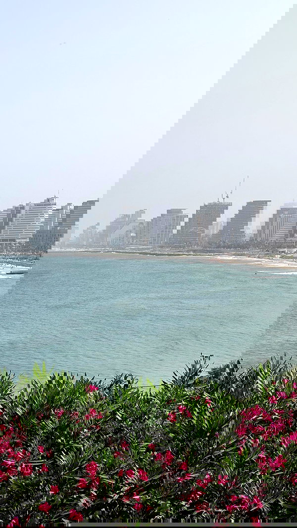 v.e.r.o._.n.i.c.a v.e.r.o._.n.i.c.a archive image