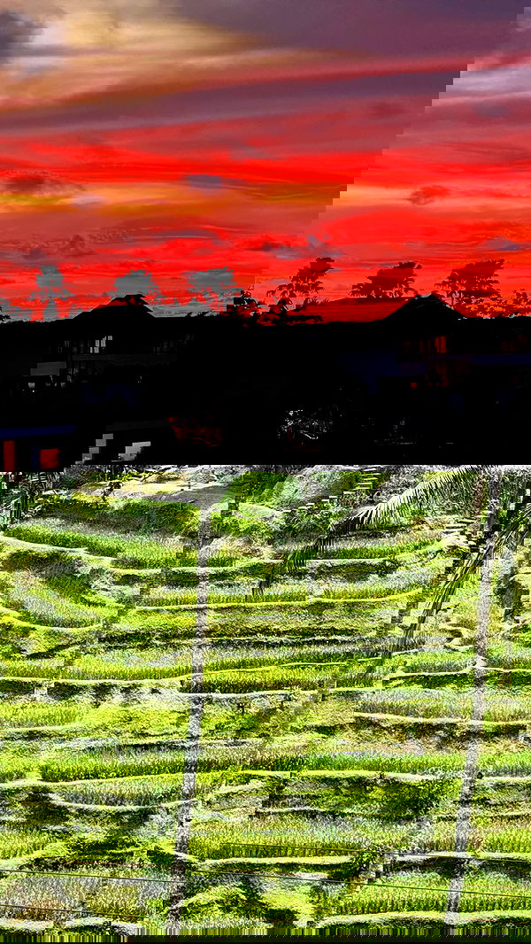 taylor.creeden taylor.creeden archive image