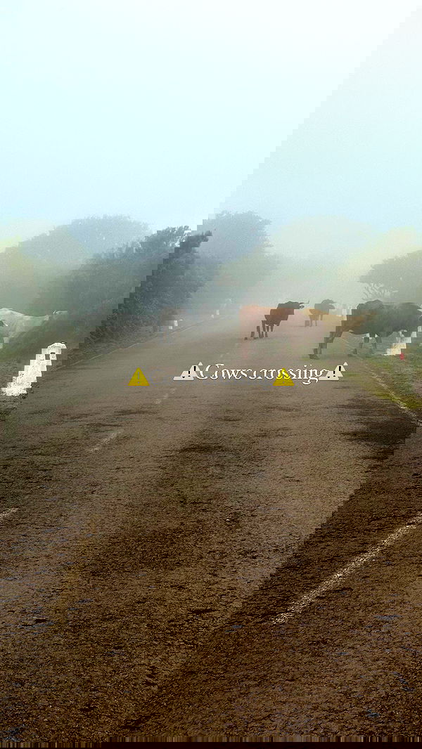 taylor.creeden taylor.creeden archive image