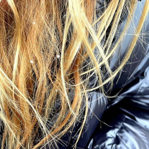 skylasanders instagram image archive image