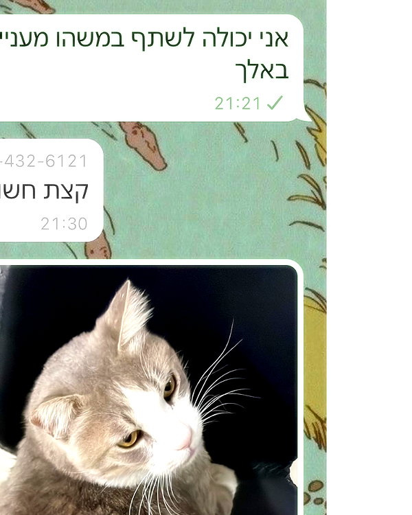 dante_yangpa instagram image archive image