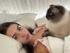 leahhalton Altpins Profile Picture