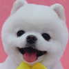 dear.zia Altpins Profile Picture