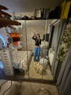 _m_a_y_c_ Altpins Profile Picture