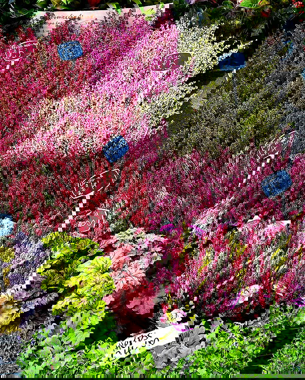 taylor.creeden taylor.creeden archive image