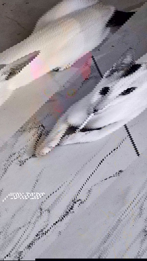 natalllluli natalllluli archive image