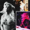 xtina Altpins Profile Picture