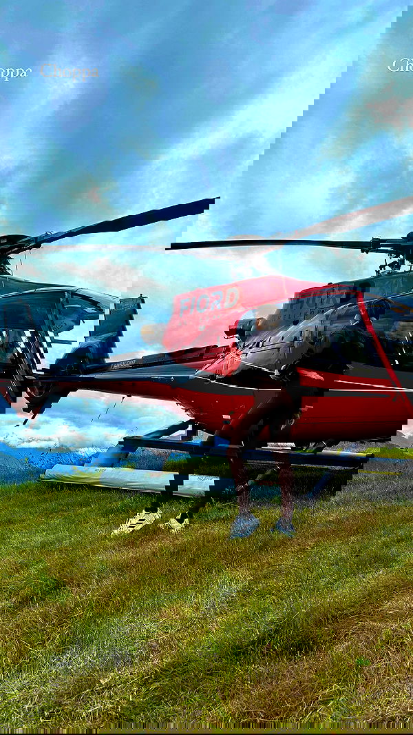 taylor.creeden taylor.creeden archive image