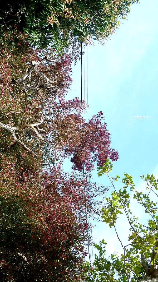 romi_henenson instagram image archive image