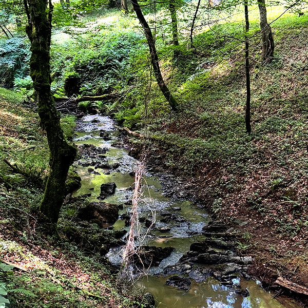 berraclkn instagram image archive image