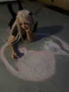 milliexxss Altpins Profile Picture