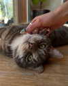 emmamarshalluk Altpins Profile Picture