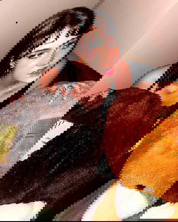 taylor.creeden taylor.creeden archive image