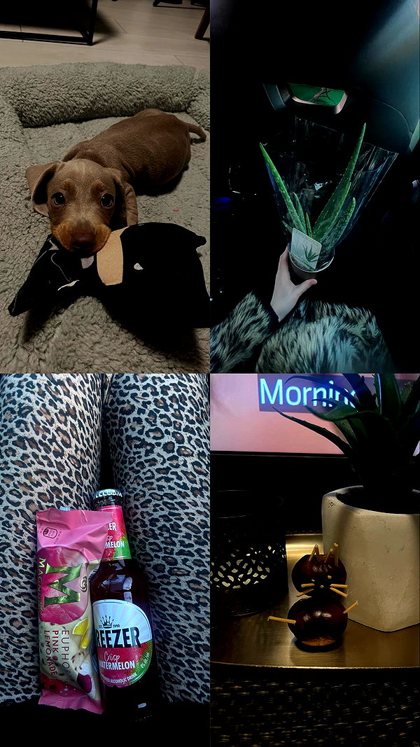 borkwsmh instagram image archive image