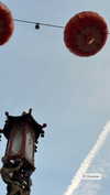 nina.kxs Altpins Profile Picture