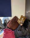 alice_hez Altpins Profile Picture