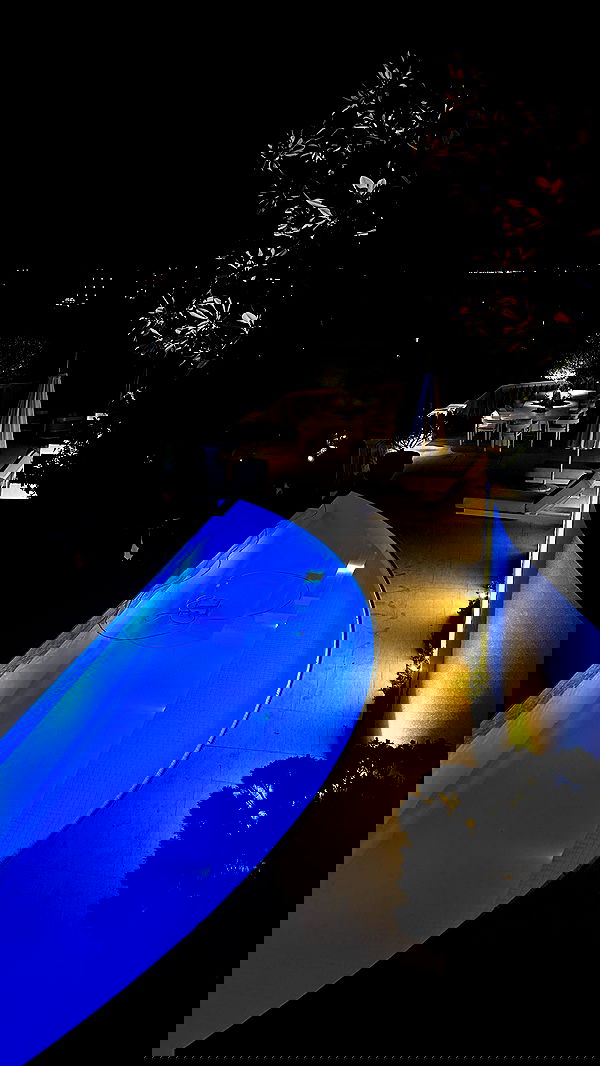 taylor.creeden taylor.creeden archive image