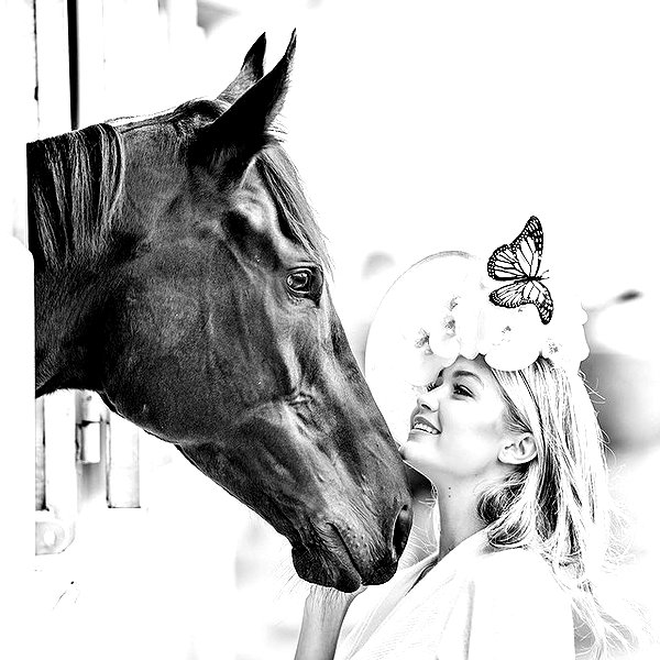 gigihadid instagram image archive image