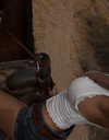 payton.r Altpins Profile Picture
