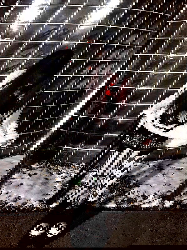 twodollie twodollie archive image