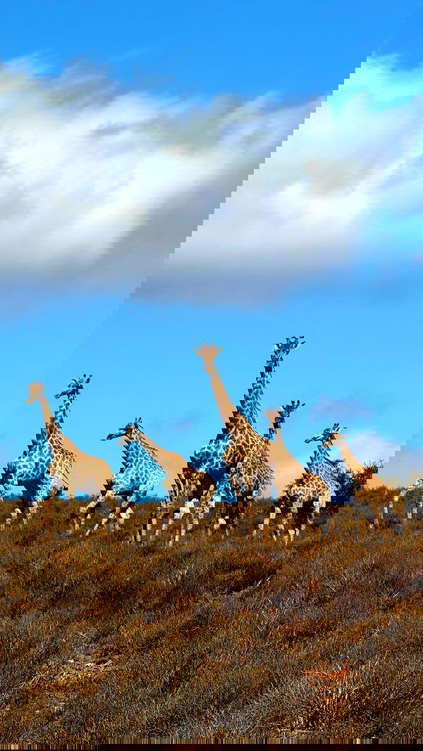 taylor.creeden taylor.creeden archive image