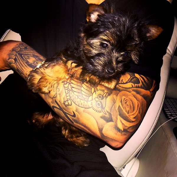 lilbieber instagram image archive image