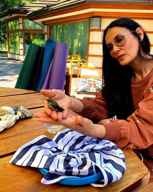 demimoore instagram image archive image