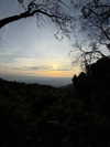 darkstar_mia Altpins Profile Picture