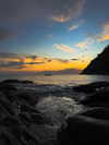 curlyfriesjazz Altpins Profile Picture