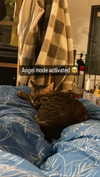 ronyida_ Altpins Profile Picture