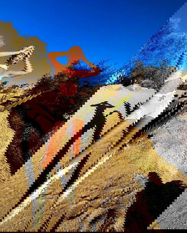 taylor.creeden taylor.creeden archive image