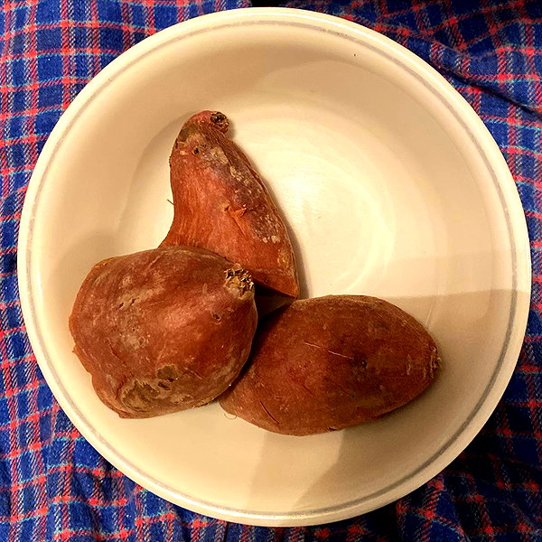 Archived image from @lolabllue on Instagram