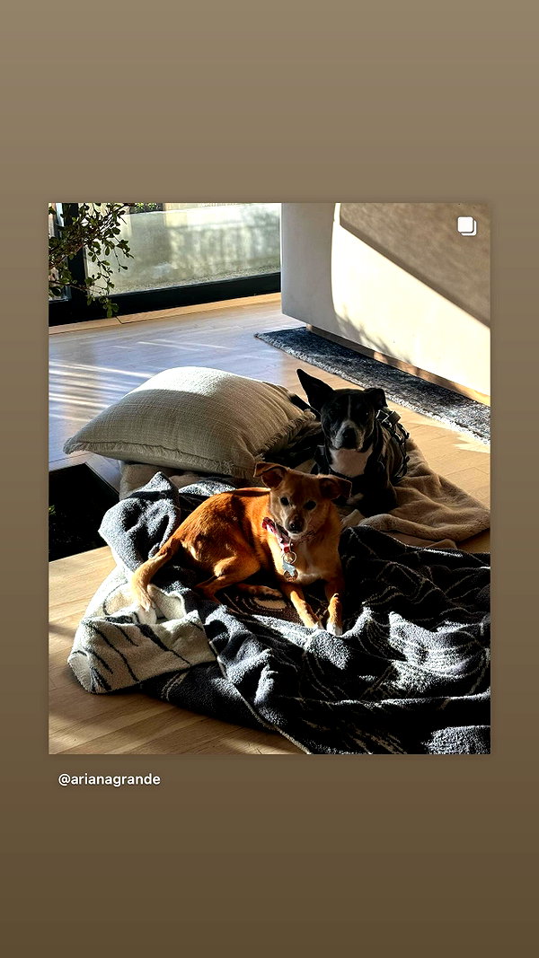 arianagrande instagram image archive image
