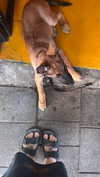 alma.almog Altpins Profile Picture