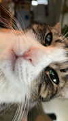 ronyida_ Altpins Profile Picture