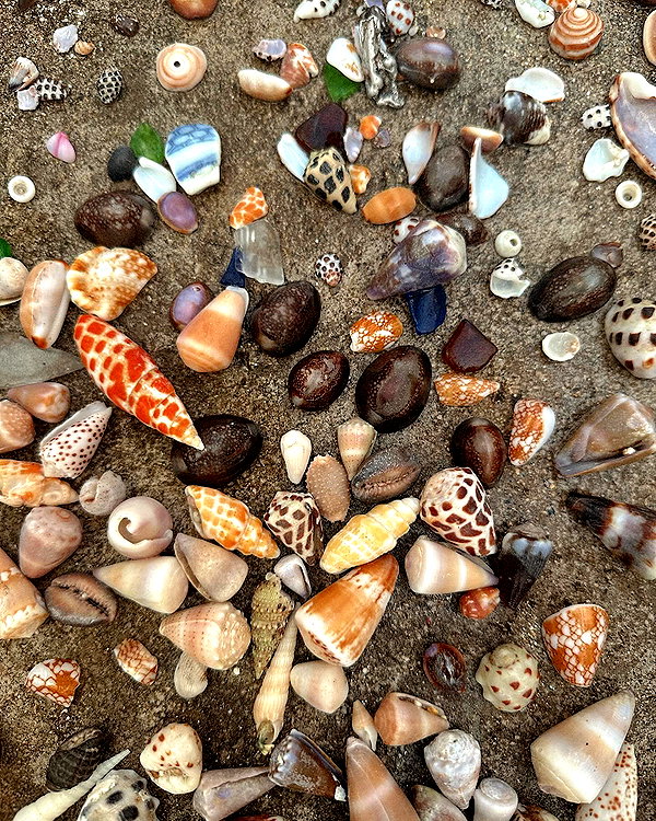 chloerosenbaum instagram image archive image