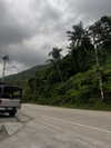 __yaheli_ Altpins Profile Picture