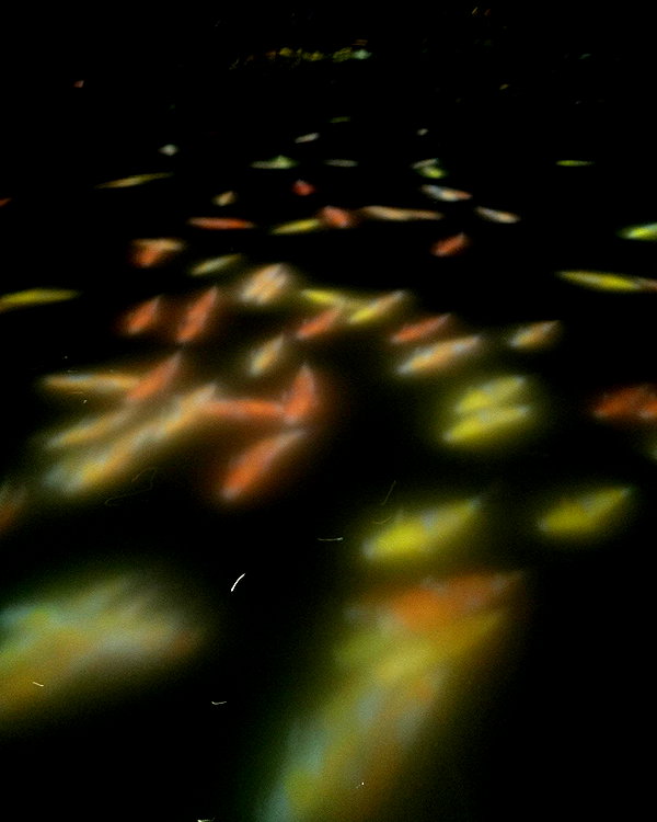 zuhazana instagram image archive image