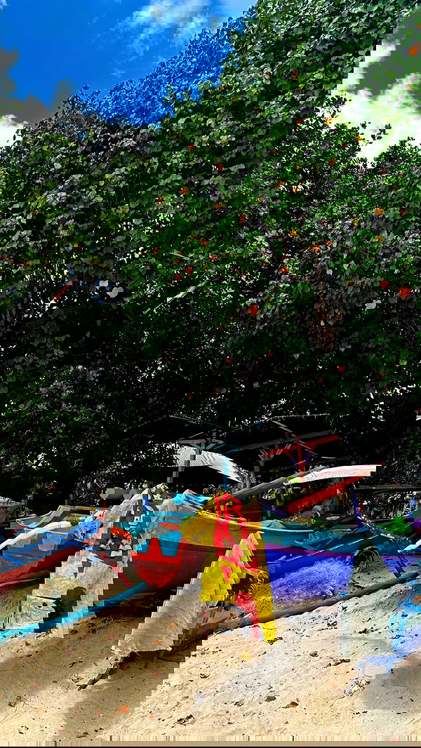 taylor.creeden taylor.creeden archive image