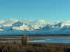 solzarubin_ Altpins Profile Picture