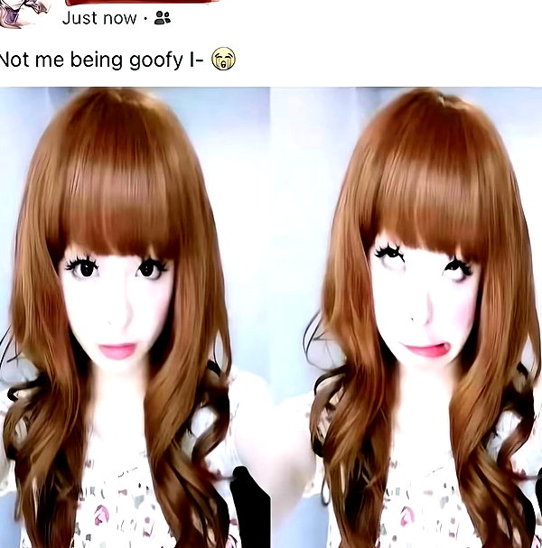 dilwwyy instagram image archive image